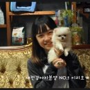 이리오개 이미지