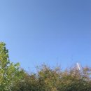 닭발의 꿈 이미지