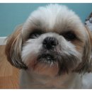 엘동물병원 이미지