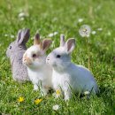 부천역사(주) 이미지