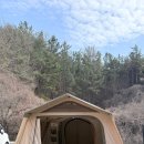 호노골 캠핑장 이미지