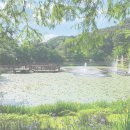 25.8.23(토)청남대.대청호/세종국립수목원(충북 청주/세종특별시)둘레길.관광 트레킹 이미지