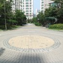 중앙동114 이미지