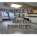 신대매안초 이미지
