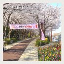 평거강변1 - A (좌측) | 강서 낙동강 30리 벚꽃축제 실시간 방문 부산 대저생태공원 벚꽃길 유채꽃밭