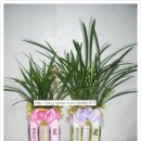 (주)대동주유소 이미지