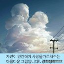 (주)자연사랑