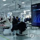 코뿔소인력 이미지
