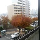 (재송)현대아파트 이미지