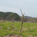 율산농장 이미지