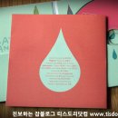 메이랜드(Mayland)