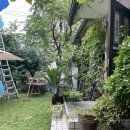 강남대로89길 18 이미지