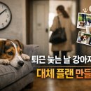 퍼피플랜 | 퇴근 늦는 날 강아지 케어: 대체 플랜 만들기
