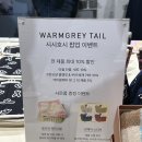송월슈퍼 | 롯데월드몰 놀거리 : 시시호시 팝업 5월 28일까지 구경하긔! 예쁜 홈리빙 아이템 많아서 눈이 돌아가 막...