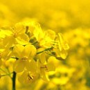 머스트휘트니스 이미지