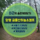 금물산하늘소캠프 | 서울근교 경기도 양평캠핑장 애견동반캠핑장 방방이와 계곡있는 캠핑장 양평 금물산하늘소캠프 방문후기