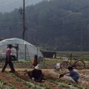 제이에스엠글로벌(주) 이미지