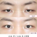 서연성형외과의원 이미지