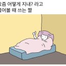 하쿠나마타타 이미지