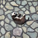 일기 : 쏟아지는 별무리와 사막보러 떠난 여행 🇲🇳 (3)