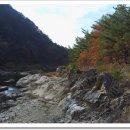 구미정야영장 화장실 이미지