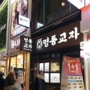 예인고우 이미지