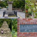 중부-현장-중부-1848 | [안성축제] 신명나는 세계적인 우리 축제 안성맞춤 남사당 바우덕이 축제