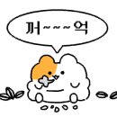 잇츠런 이미지