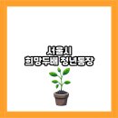 서울시 희망두배 청년통장 후기로 알아본 신청 방법 수익