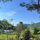 스테이 편차 이미지