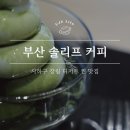 경희병원 | 부산 솔리프커피 주차장 대박 넓은 위생등급 매우우수 플랜테리어 디저트카페