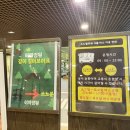 소노펠리체 비발디파크 투숙객의 비바플렉스몰 이용 후기