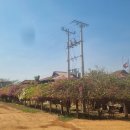 해마농장 이미지