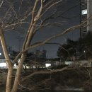 이가박가 이미지