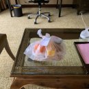 멍PT 운송 | [싱가포르] 자가격리 후기 (SHN) - 오차드 리젠트호텔에서의 고독한 2주간의 강제호캉스 기록 : 격리...