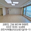 천진부동산중개사무소 이미지