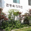 권명숙갤러리