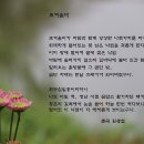 초겨울비 이미지