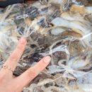 비체하우스펜션 이미지