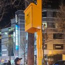 가락지구대 이미지