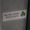 티스테이션 달서점 | 일상] 토요일 신동엽위스키 먹고 .. 일어나니깐 월요일