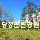 당정역 3번출구 앞 | 군포시 당동 공원, 당정역 당정근린공원에서 꽃구경하기
