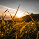 토지보상행정사 이미지