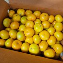 동석농장 이미지