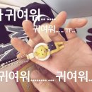 아,귀여워 이미지