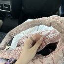 로사스테인드글라스 | 데미언허스트 전시회 관람 후기<국현미>