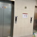 1219푸드 | 가경동 맛집 햄버거 전문점 바운스무드 청주본점에서 평일런치세트 먹은 후기