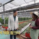 명정농장 이미지