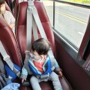 아람목장 이미지