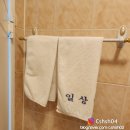 (일상) 가평 펜션 가평 일상탈출 펜션 1박 후기